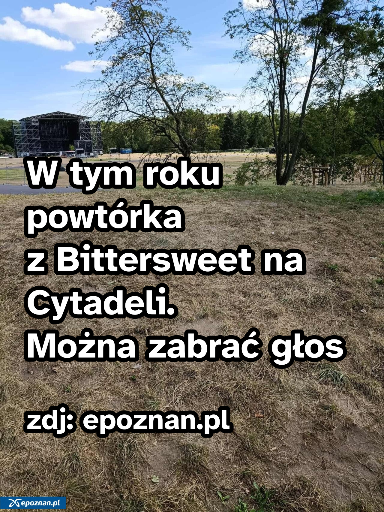 W tym roku powtórka z Bittersweet na Cytadeli. Można zabrać głos. w tle zdjęcie od epoznan.pl z wydeptaną zniszczoną trawą na Cytadeli